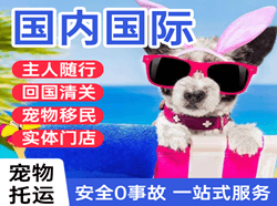 普洱思茅机场快递国际宠物托运 【国